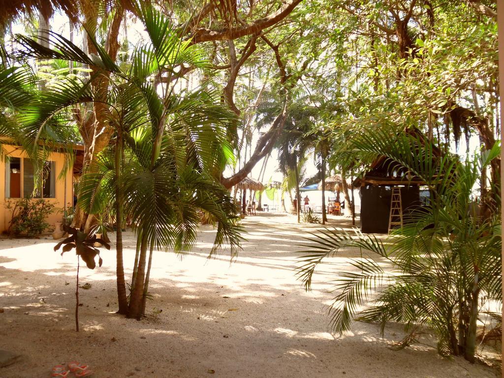 La Palapa Hostal Tamarindo Habitación foto